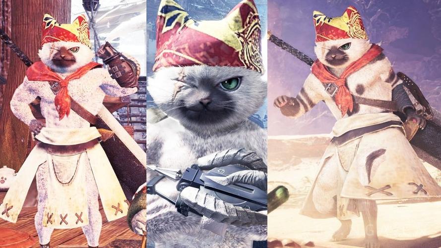 穿越猎人加入旅团当厨师缩略图