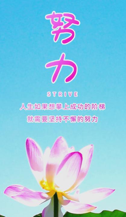 开心工作正能量短句缩略图
