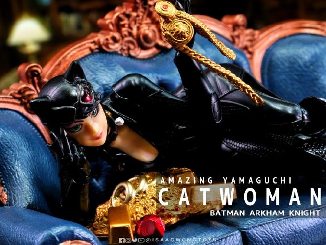 蝙蝠侠阿卡姆骑士救猫女谜语人任务图标
