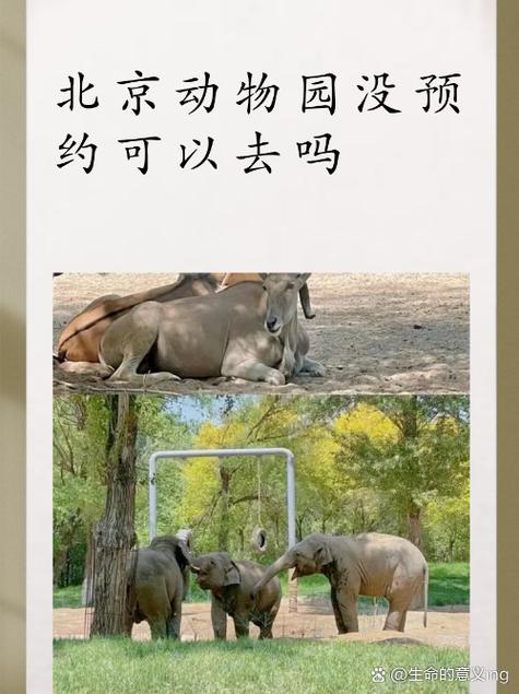北京动物园需要预约吗缩略图