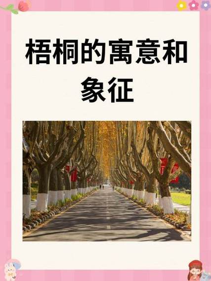 寻迹的含义和象征意义缩略图