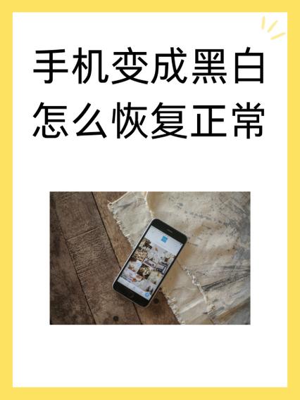 黑白模式怎么恢复正常游戏截图