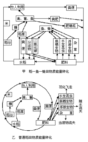 多开鸭系统和蚂蚁系统哪个好缩略图