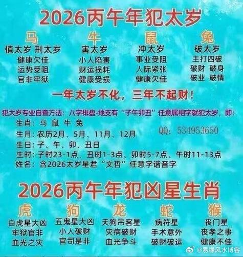 属马2026年灾祸有哪些缩略图