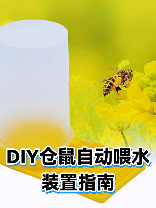 小仓鼠该怎么喂水图标