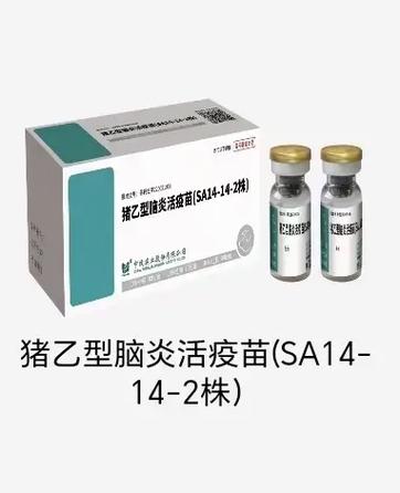 猪脑炎用什么药治疗效果好