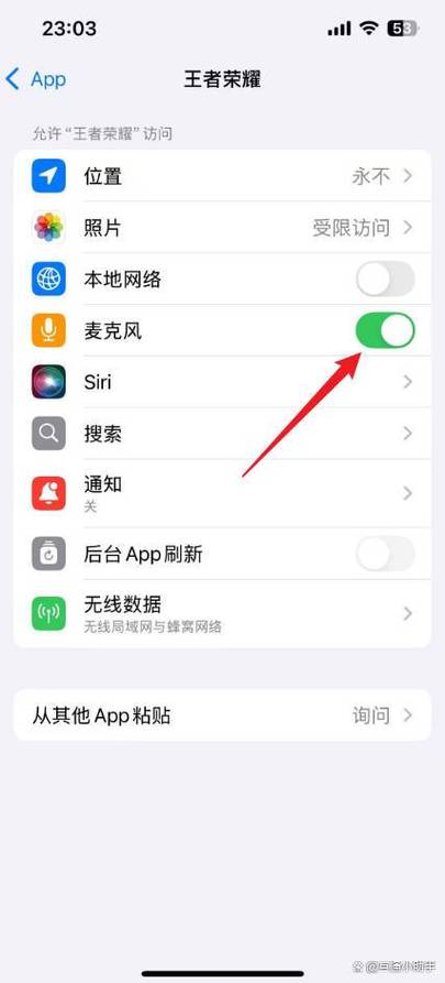 ios王者荣耀开麦游戏声音小缩略图