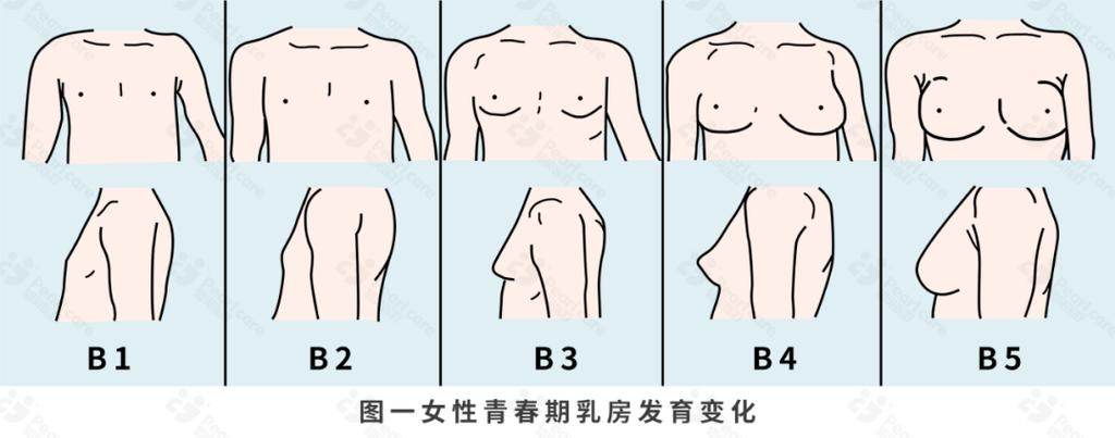 孩子穿上胸罩变成女孩子子