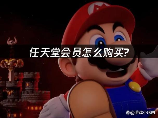 任天堂会员有必要开吗