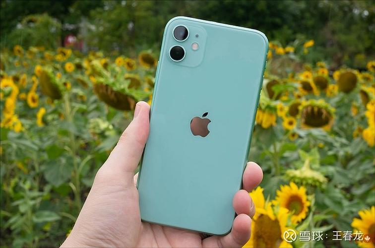iPhone11拍照闪退缩略图