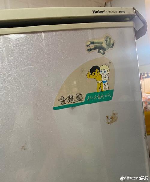 冰箱用了20年还能用吗图标