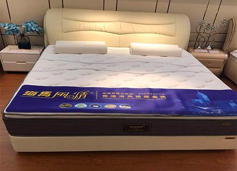 香港海马和金海马是什么关系图标