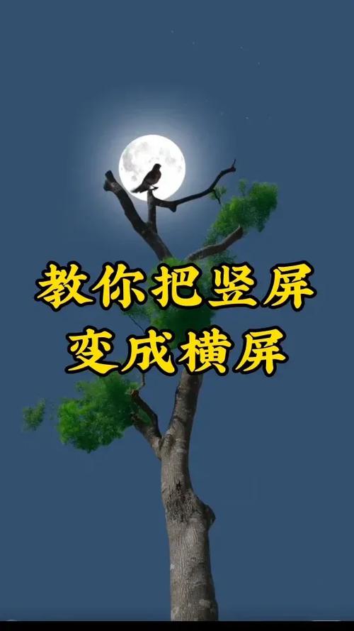 相机竖着拍出来是横的怎么调整图标