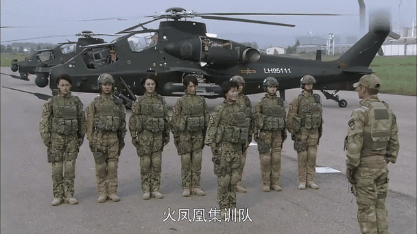火凤凰之雷战同人文txt