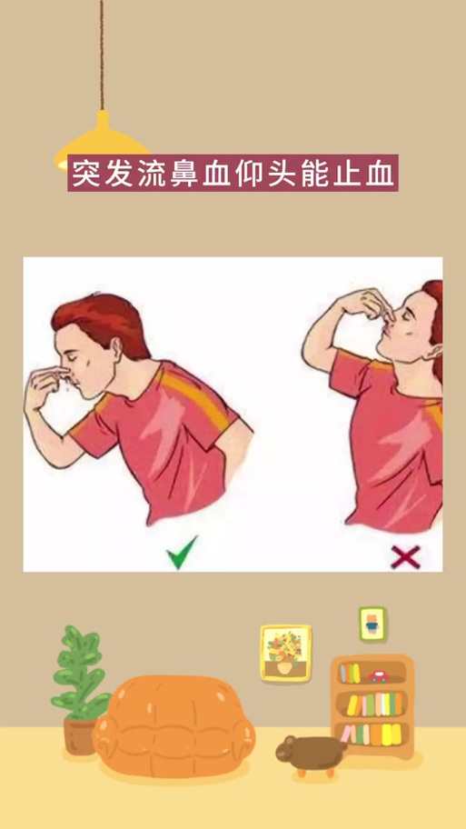流鼻血了怎么快速止血缩略图