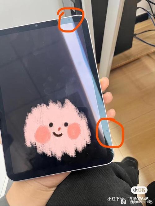 ipad屏幕中间有个圆圈缩略图