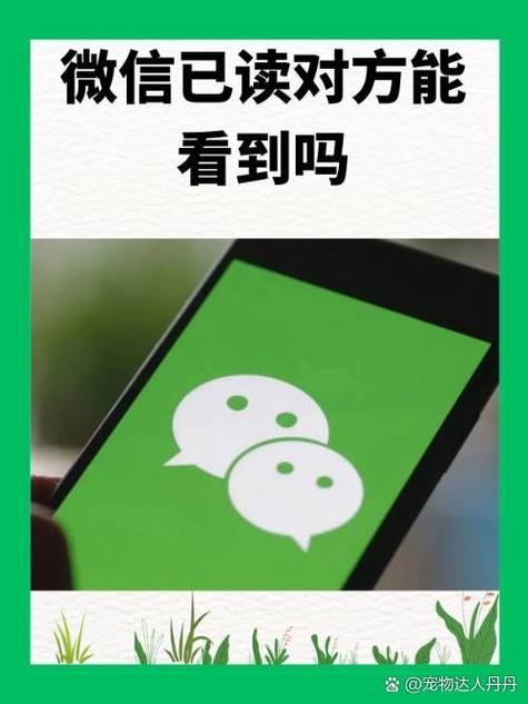 信息显示送达是对方已经看了吗游戏截图