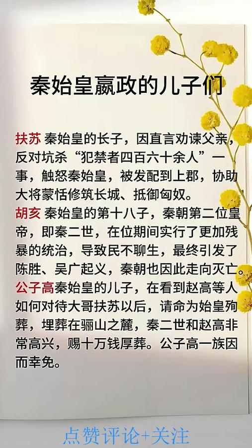 历史上秦始皇到底是谁的儿子