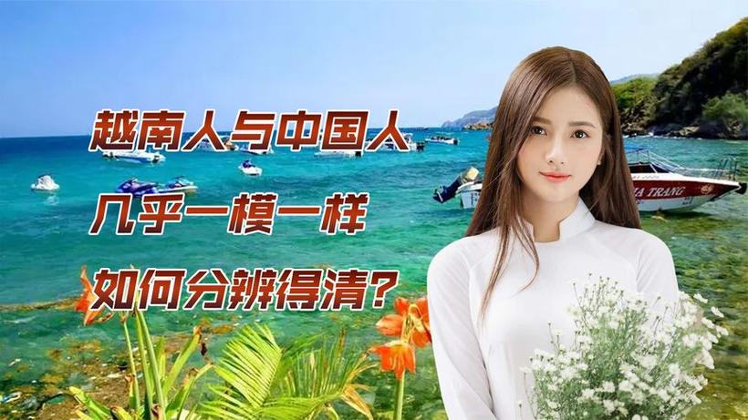 中国人越南版