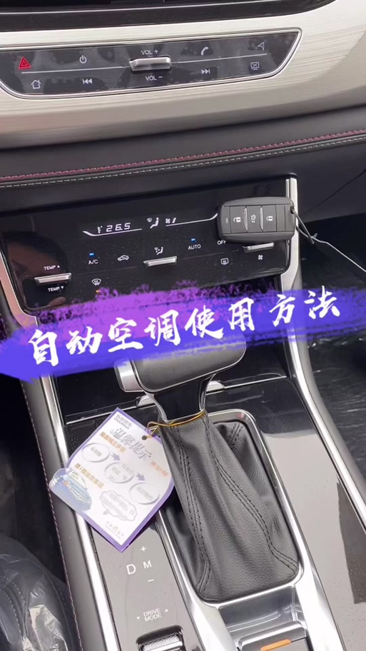 长安开发者模式密码