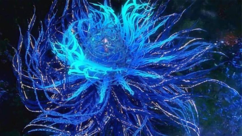 斗罗:蓝银剑皇游戏截图