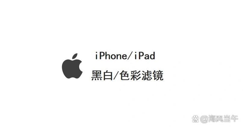 苹果平板电脑屏幕变成黑白了缩略图