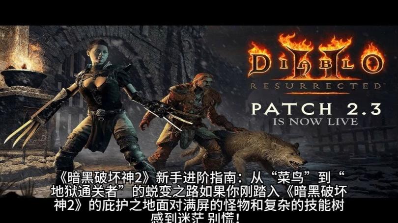 暗黑2珍藏版图标