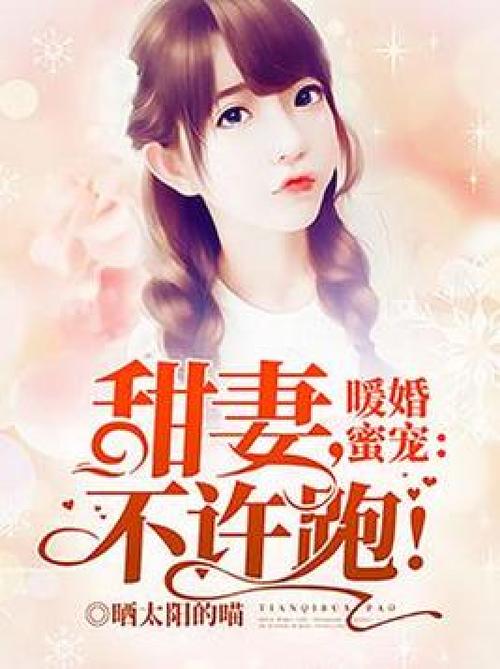 暖婚甜妻小说原著小说免费阅读全文图标