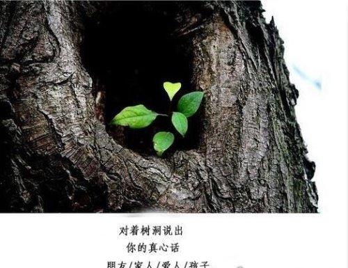 女人说的树洞是比喻什么意思