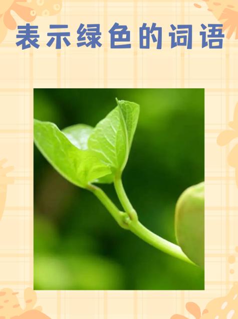 绿色三个点的悬浮窗是什么缩略图