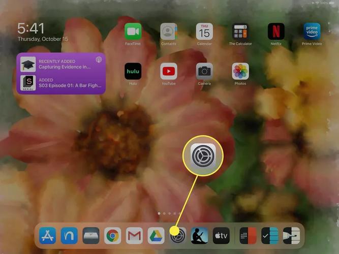 ipad如何缓存电视剧图标
