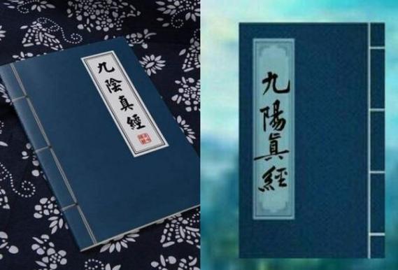 九阳神功与九阴真经缩略图