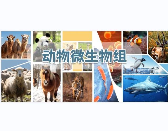 微生物算不算动物缩略图
