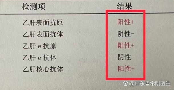 乙肝表面抗原携带者什么意思缩略图