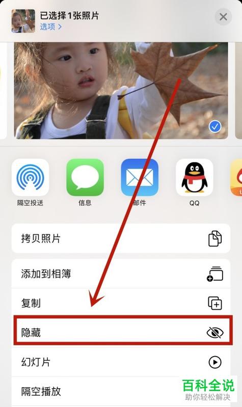 苹果手机怎样显示相册里的全部照片图标