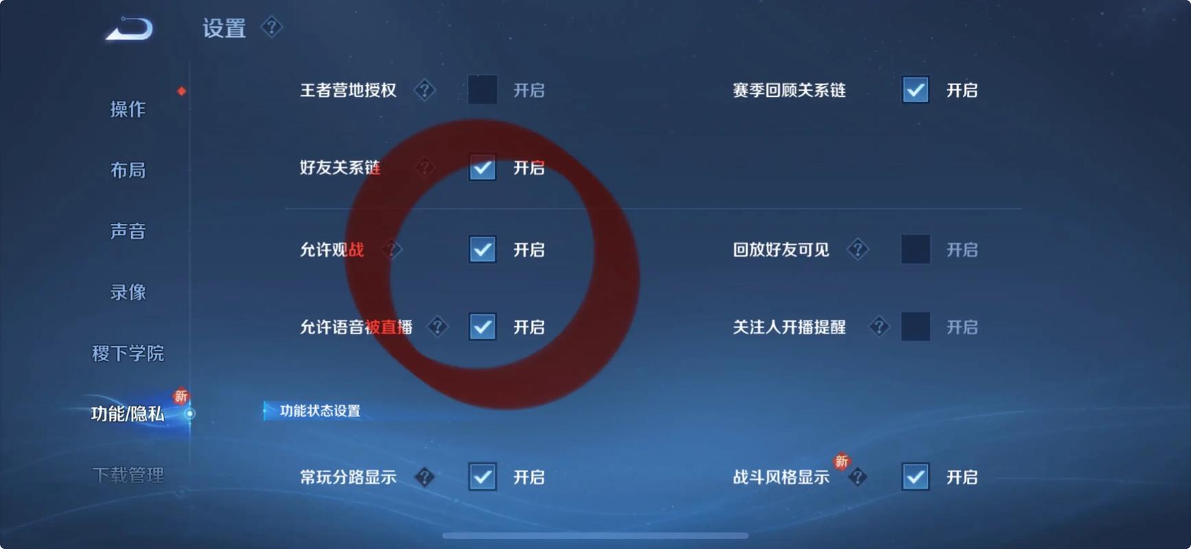 王者荣耀观战开了为啥不能观战缩略图