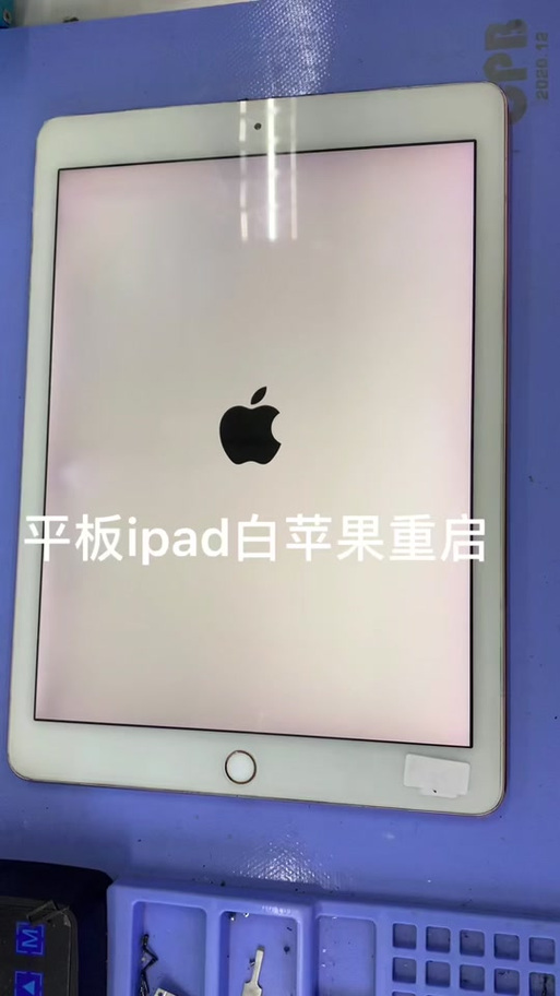 ipad开机一直显示白苹果