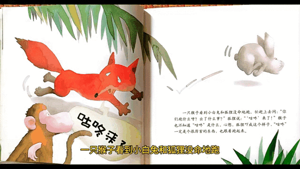 狐狸和猴子阅读短文答案