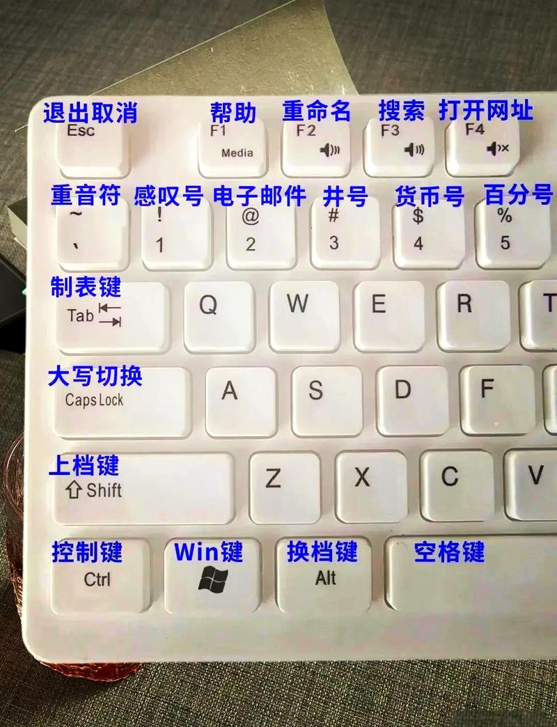 键盘的数字键按不出来什么原因图标