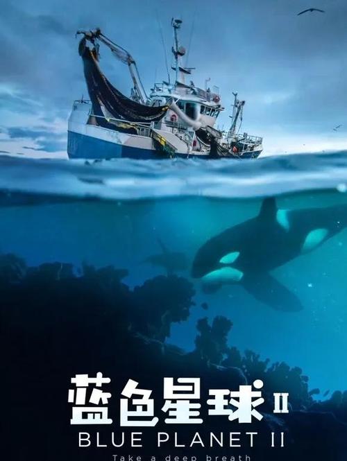 海洋纪录片国语版免费观看缩略图
