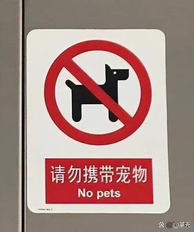 关于买卖宠物的法律规定缩略图