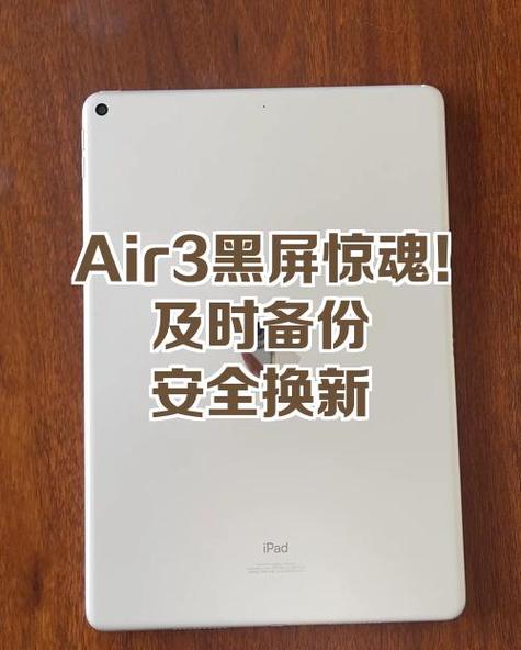 ipadair3黑屏的原因游戏截图