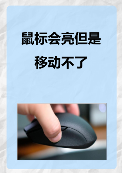 鼠标亮但是移动没反应