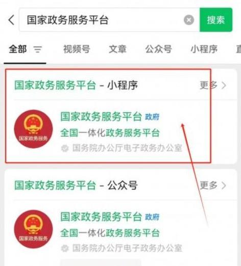 国家政务平台查询婚姻状况图标