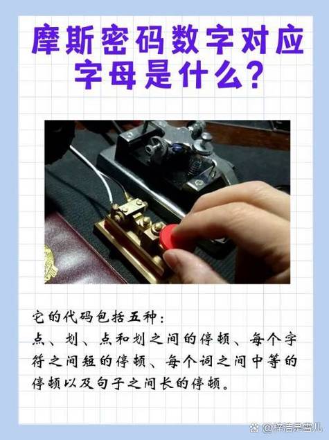 手机型号代码字母代表什么