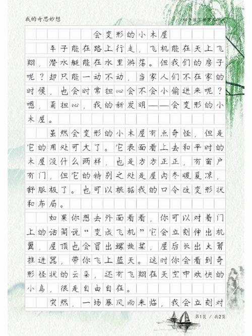 妙的作文500字