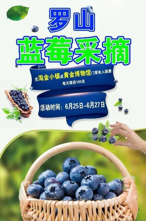 蓝莓广告语宣传语经典用语大全