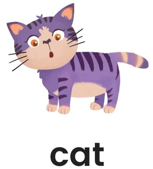 自律猫fatty cat官网
