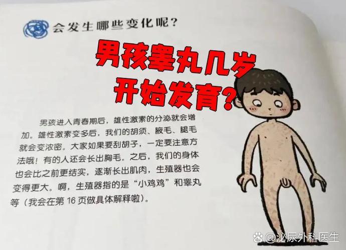 十四岁男生检查蛋蛋经历图标