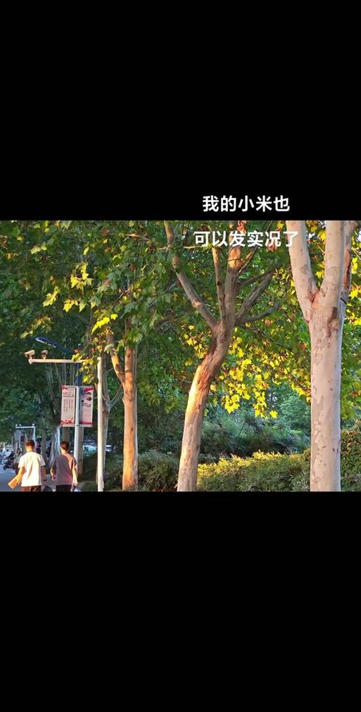 小米手机朋友圈发原图照片和视频的注意事项缩略图
